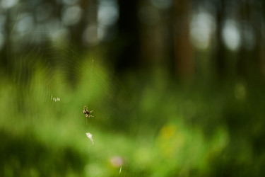 Similar image 21860551