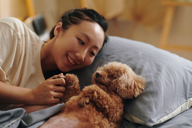 Similar image 21861151