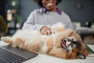 Similar image 21860786