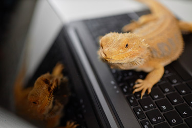 Similar image 21859528