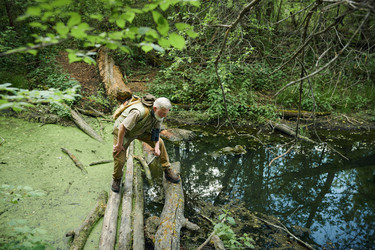 Similar image 21859291