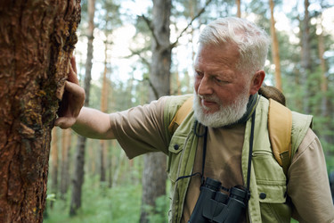 Similar image 21861318