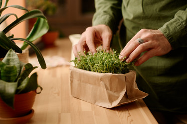 Similar image 21861333