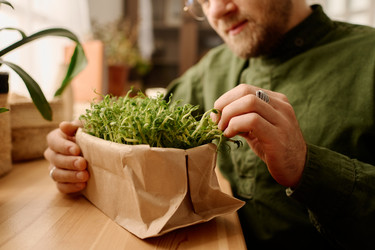 Similar image 21861909