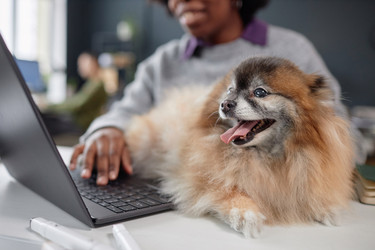 Similar image 21860276