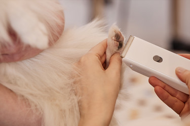 Similar image 21862670