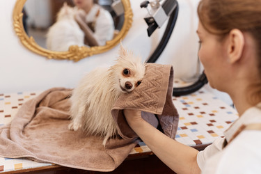 Similar image 21860989