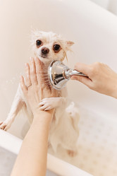 Similar image 21861309