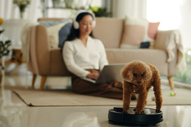 Similar image 21864537