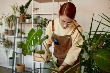 Similar image 21860966