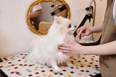 Similar image 21861832