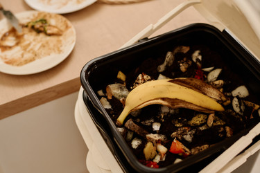 Similar image 21861419