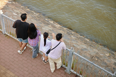 Similar image 21861390