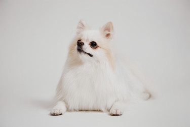 Similar image 21863591