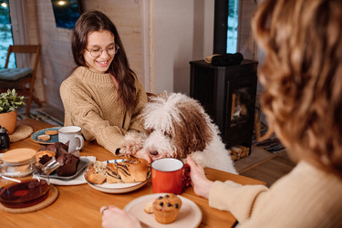 Similar image 21862148