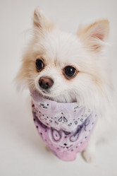 Similar image 21864140