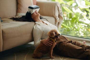 Similar image 21859510