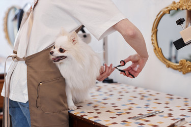 Similar image 21859435