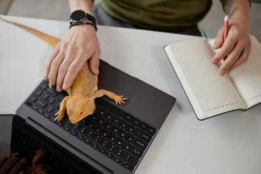 Similar image 21861117