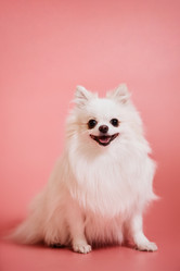 Similar image 21861354