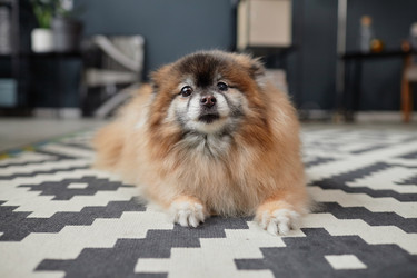 Similar image 21863944