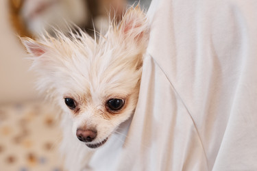 Similar image 21859702