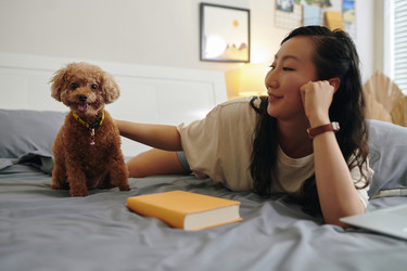 Similar image 21861465