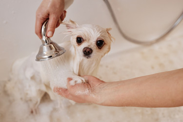 Similar image 21862293