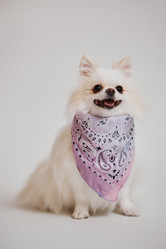 Similar image 21860573