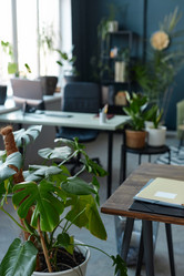 Similar image 21862195