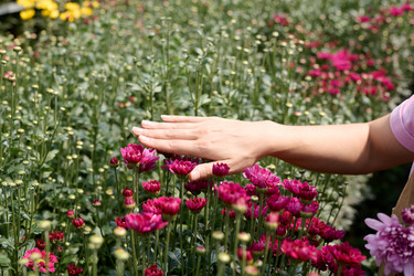 Similar image 21864427