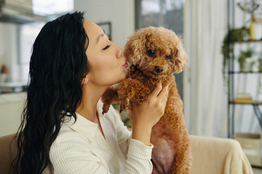 Similar image 21864258