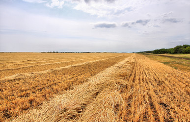 Similar image 21869064