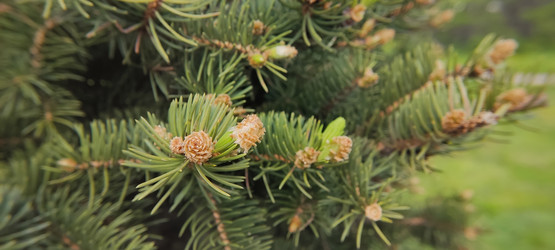 Similar image 21869065