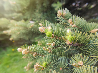 Similar image 21869067