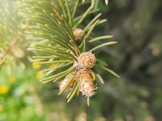 Similar image 21869070