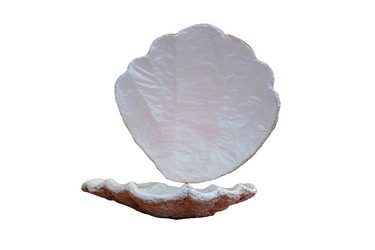 Similar image 21869074