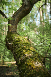 Similar image 21862287