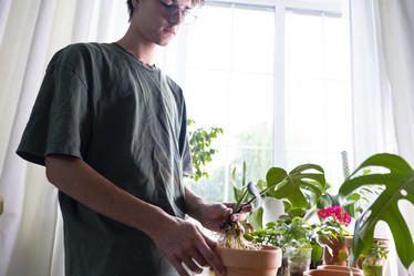 Similar image 21869655