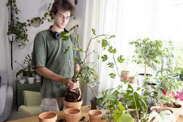 Similar image 21869656