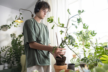 Similar image 21869659