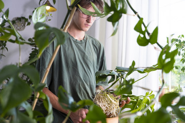 Similar image 21869661