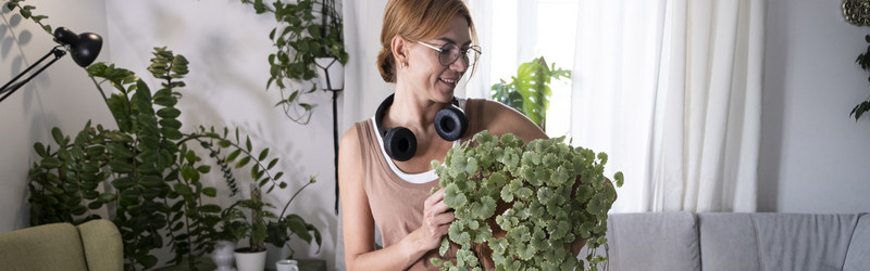 Similar image 21869667