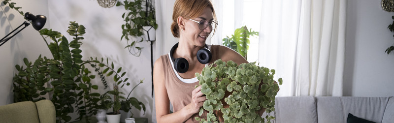 Similar image 21869668