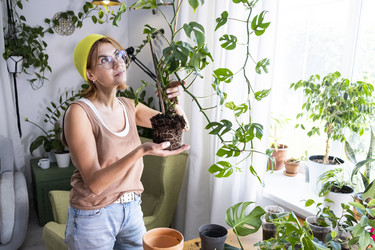 Similar image 21869673