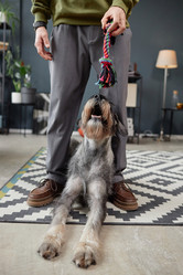 Similar image 21860562