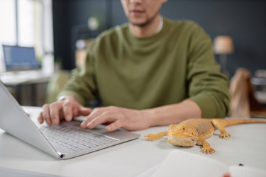 Similar image 21864575