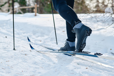 Similar image 21863704