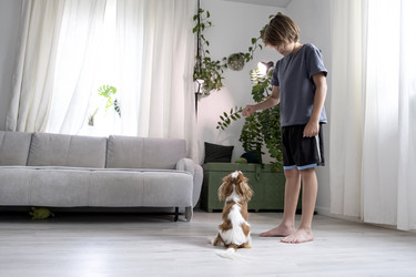 Similar image 21869441