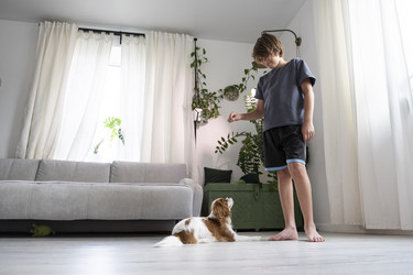 Similar image 21869442